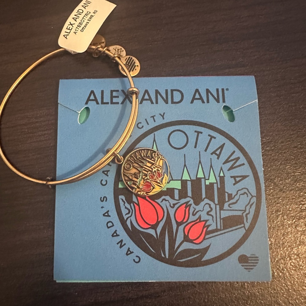 Ottawa Charm Bangle Alex and Ani